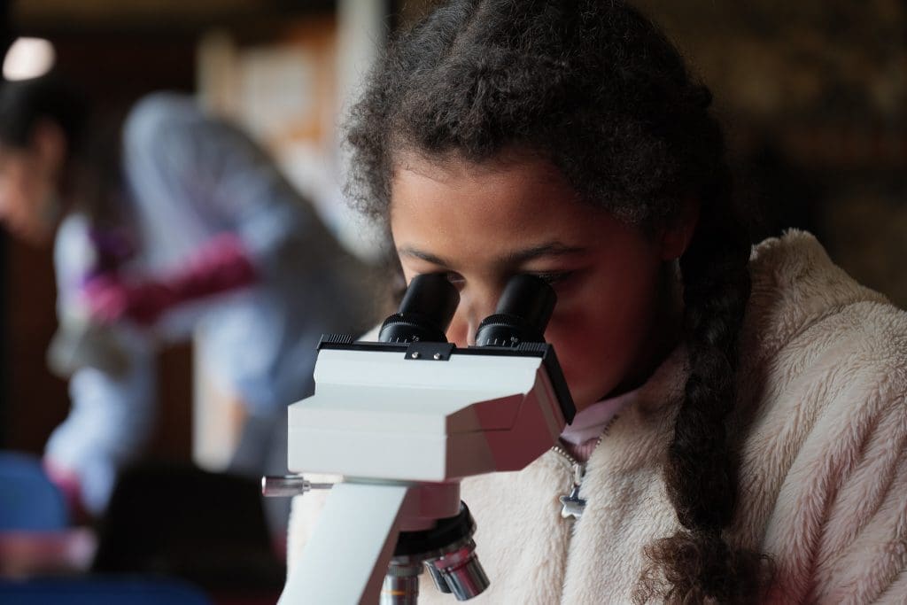 nature based principles microscope