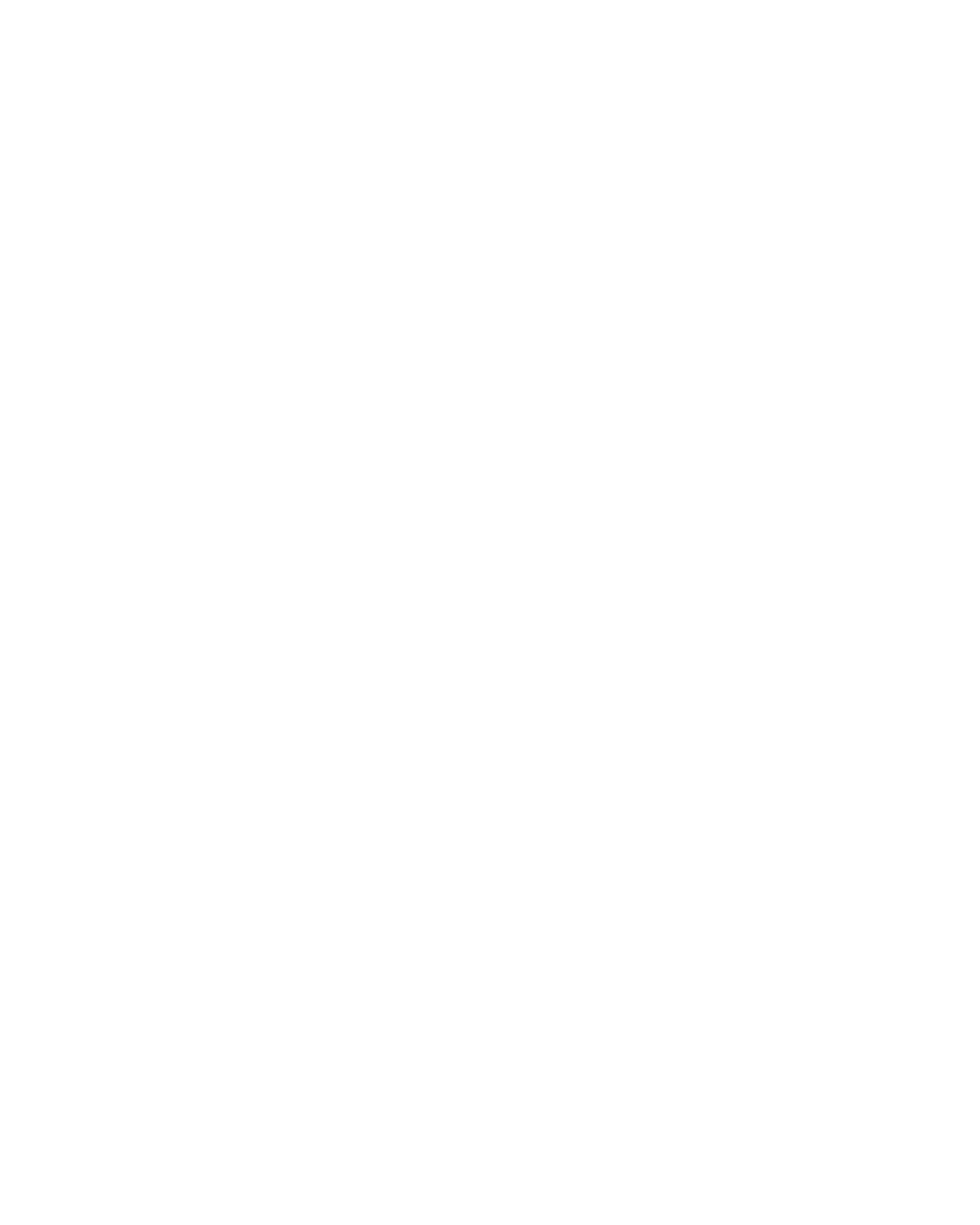 O2L_owl white out